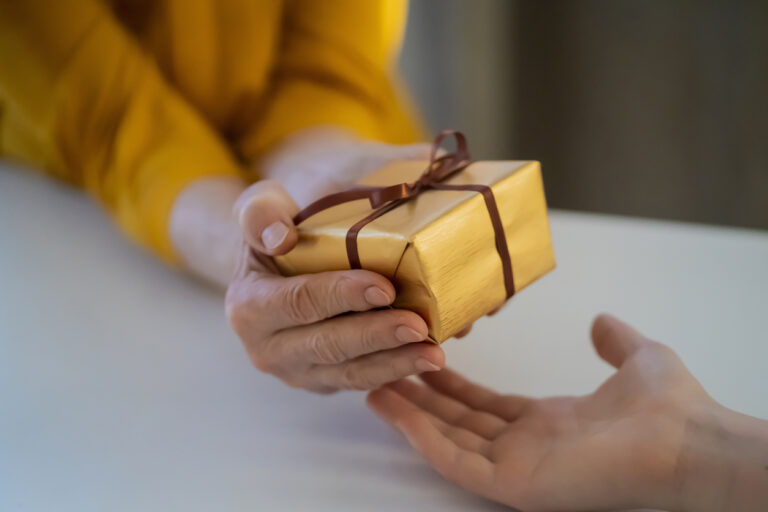 Female hands hold and give a nice packed gift.